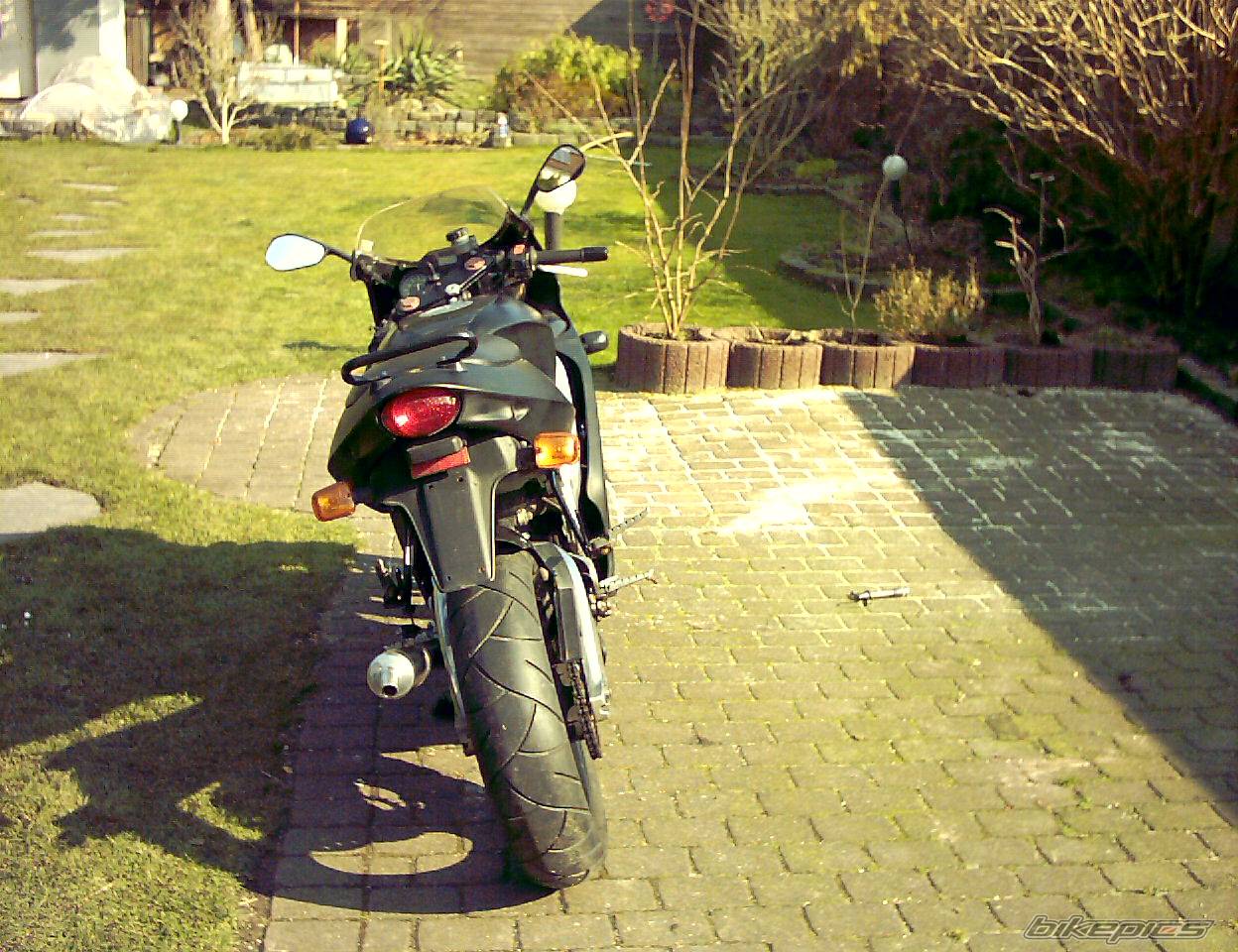 Photo 117630