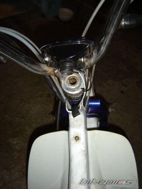 Photo 1176394