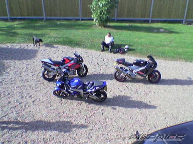 Photo 1176401