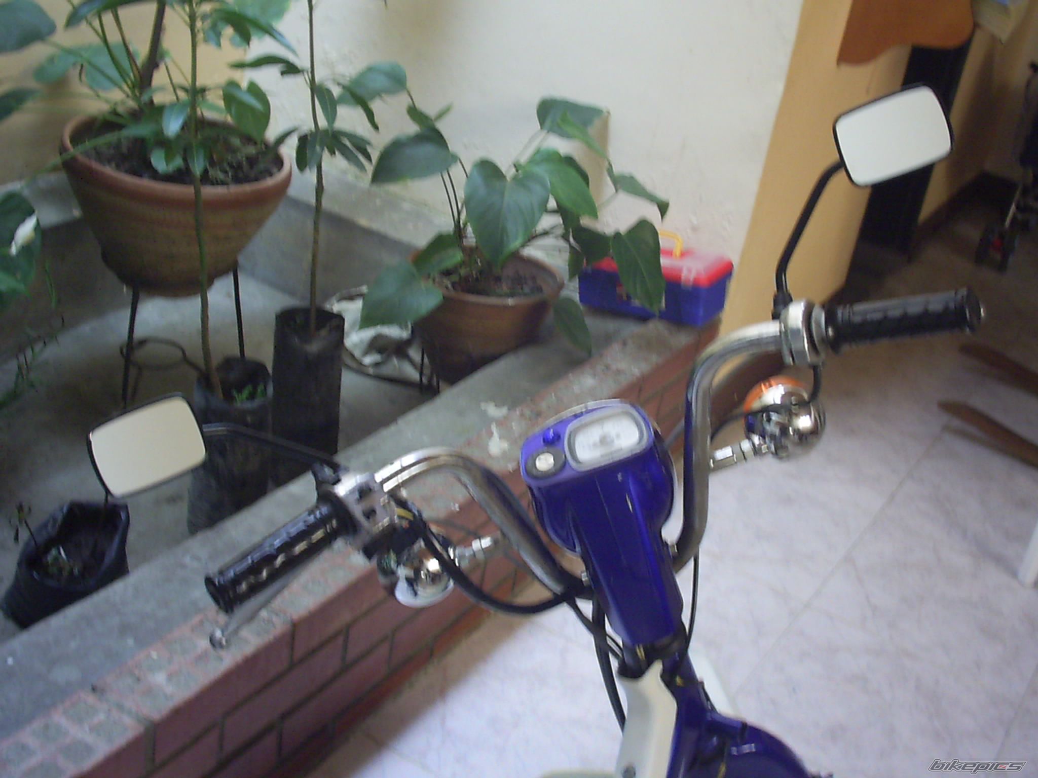 Photo 1176444