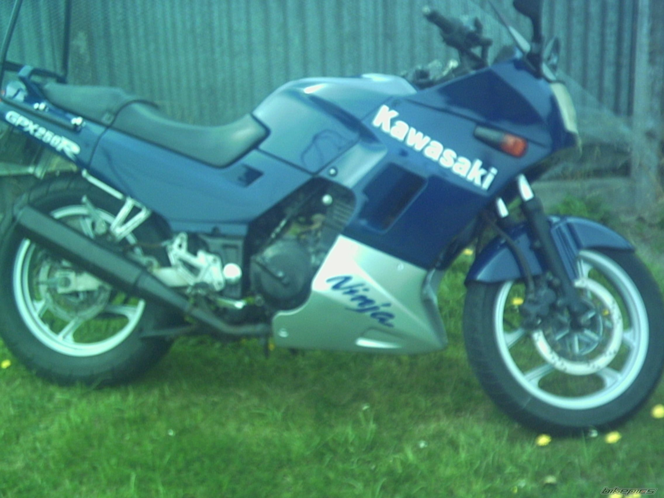 Photo 1176494