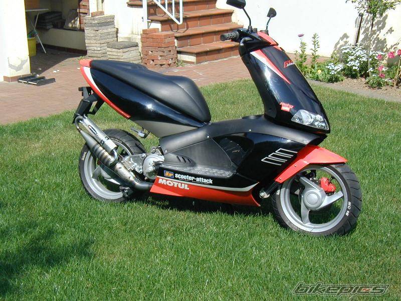 Photo 11765