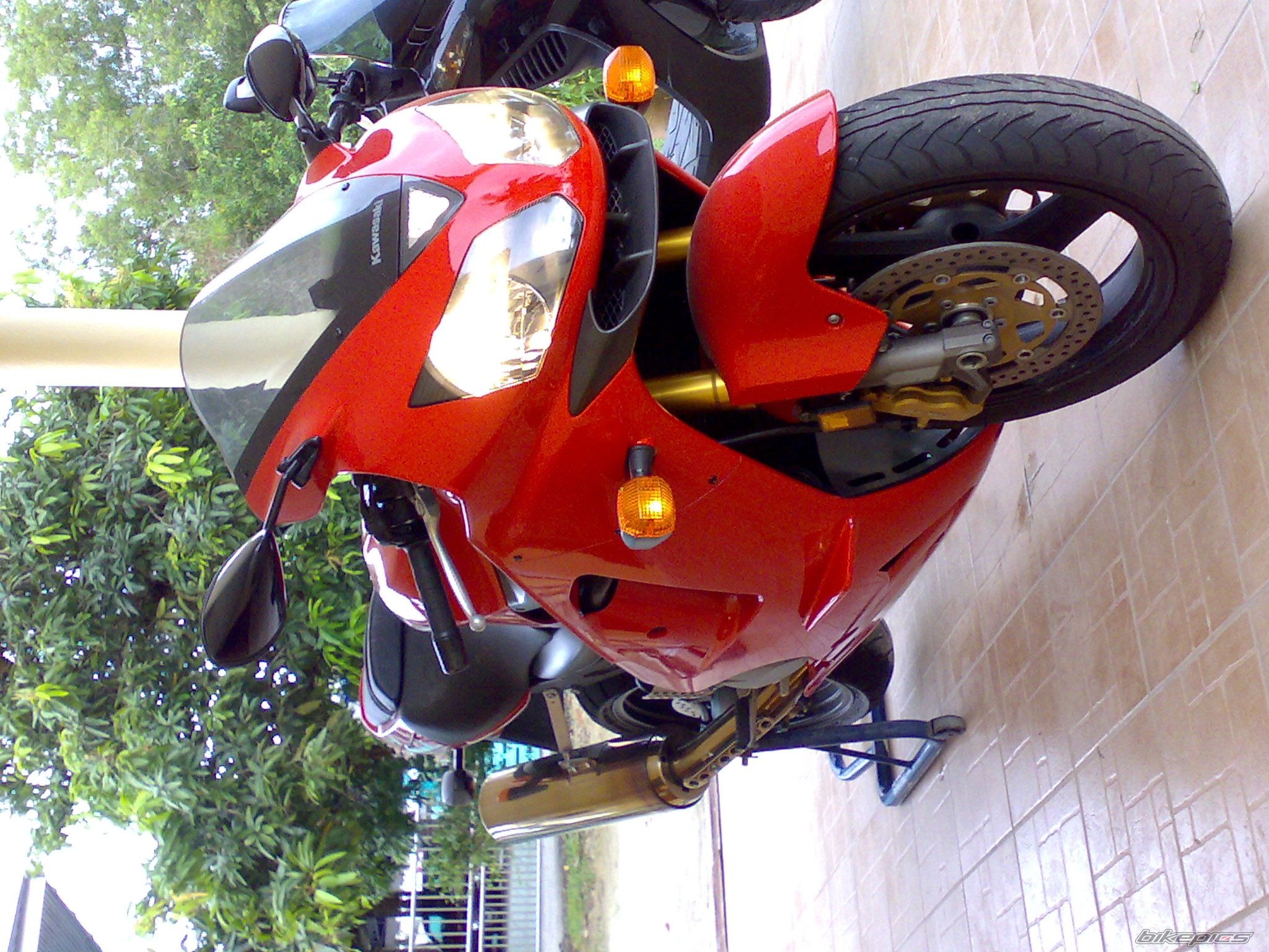 Photo 1176565