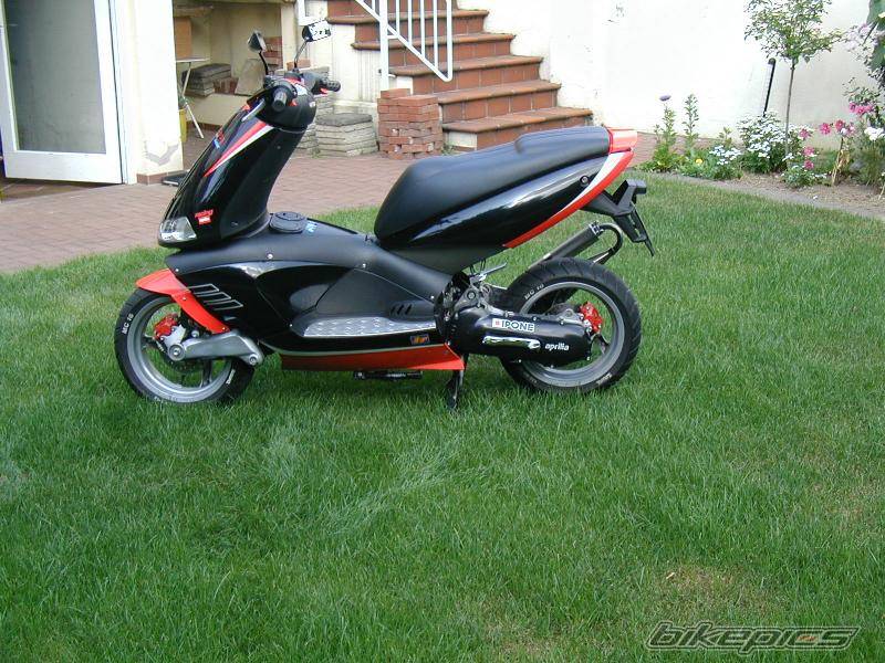 Photo 11766