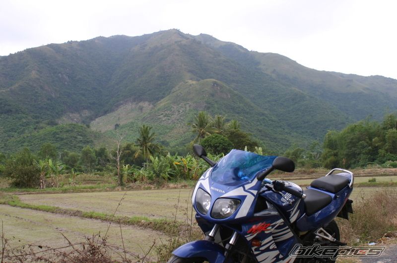 Photo 1176665