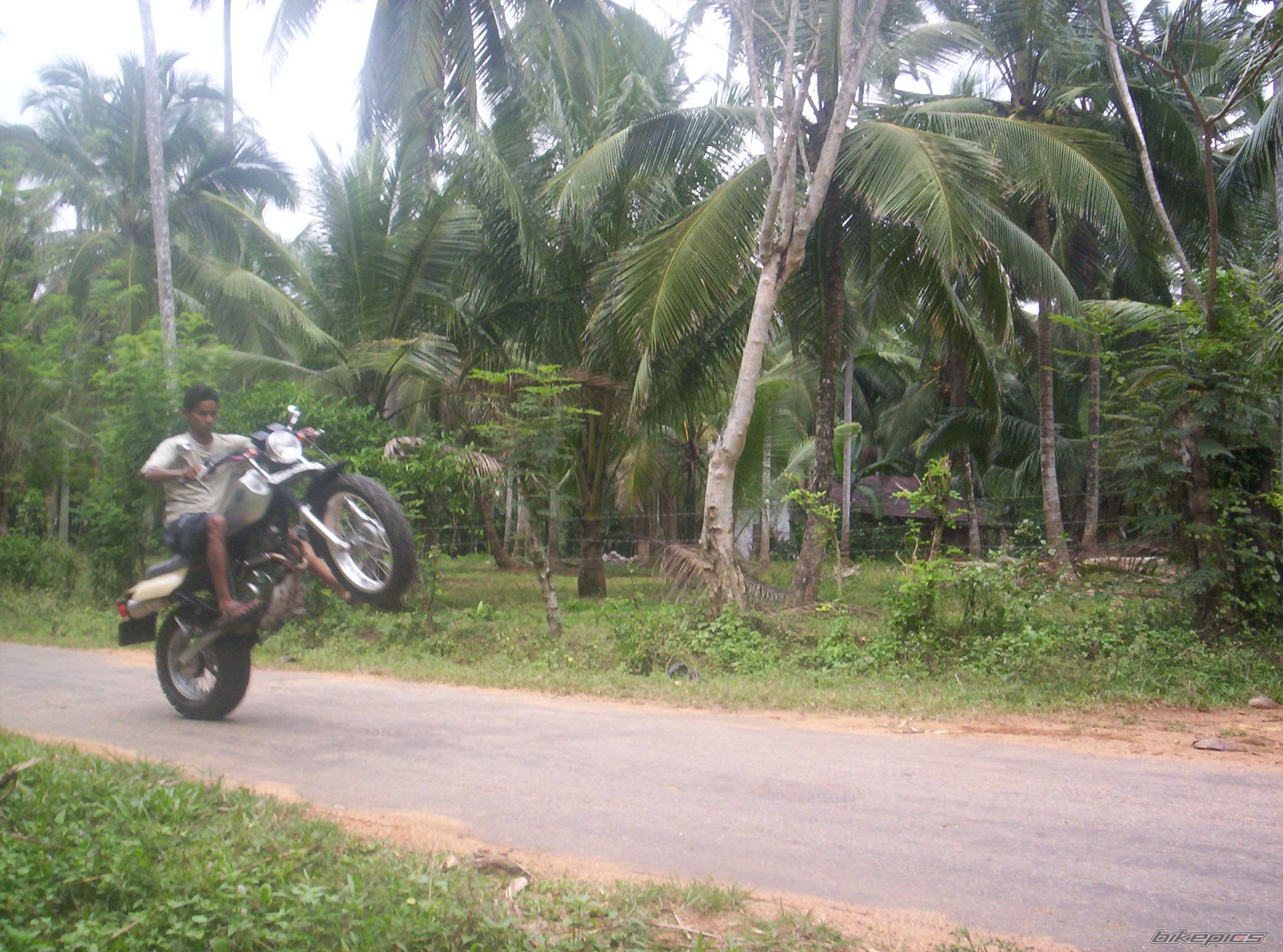 Photo 1176682