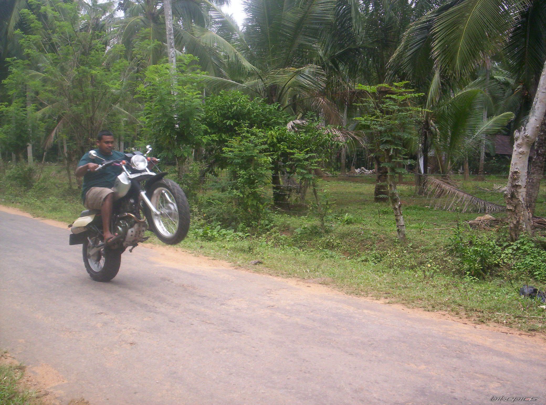 Photo 1176686