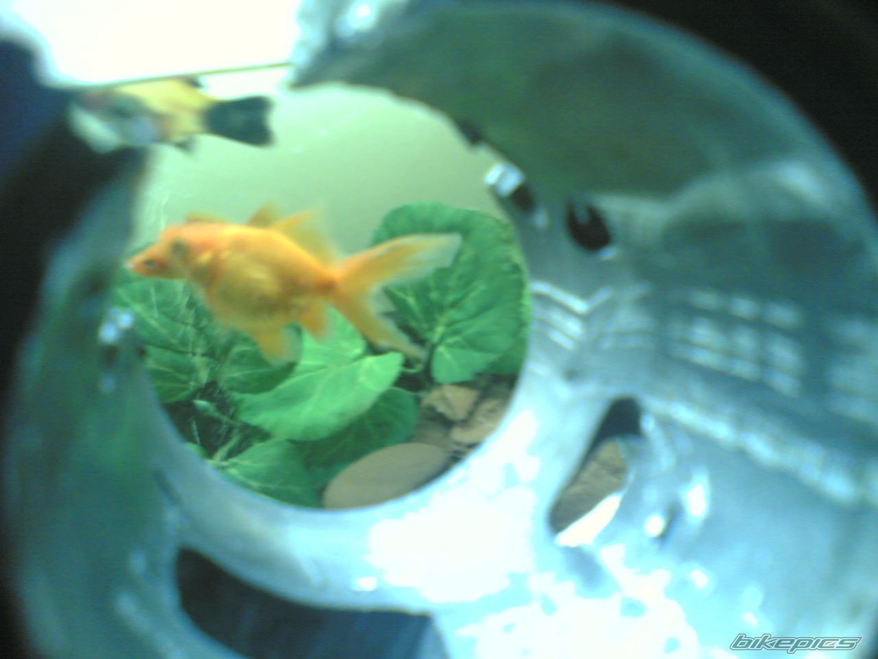 Photo 1176757
