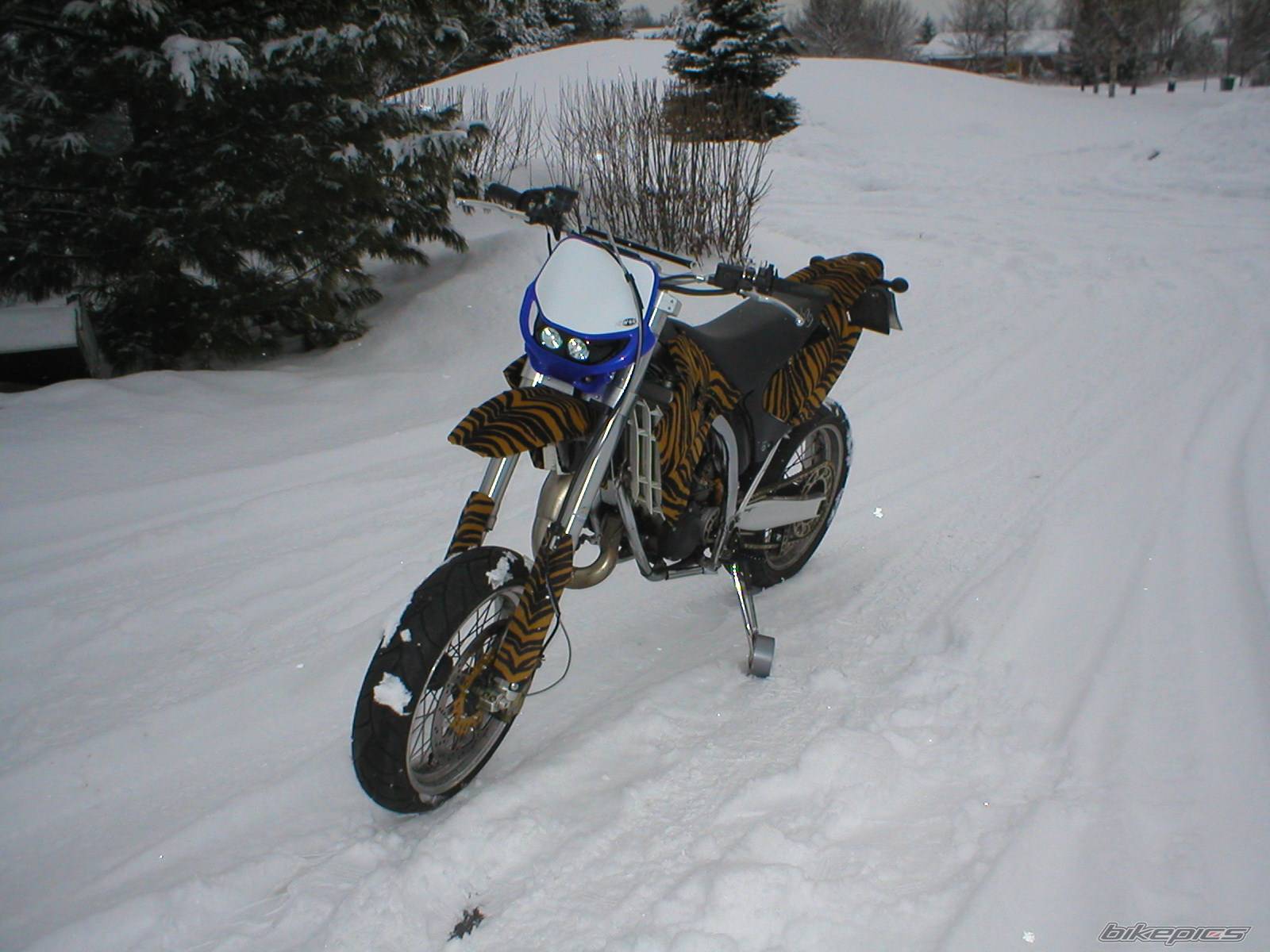 Photo 117677