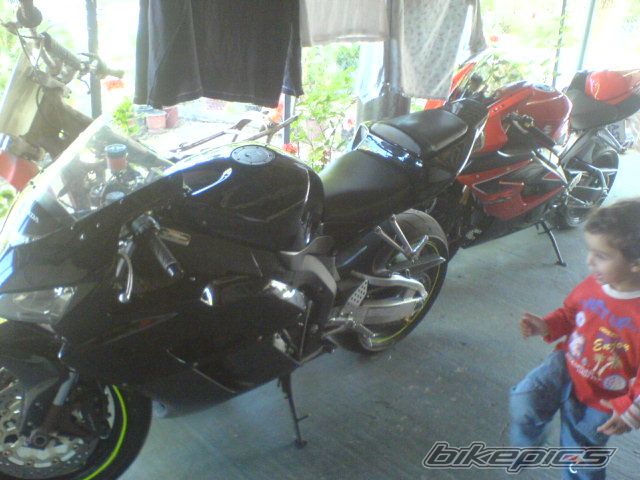 Photo 1176812