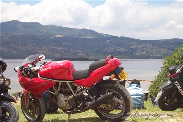 Photo 117687