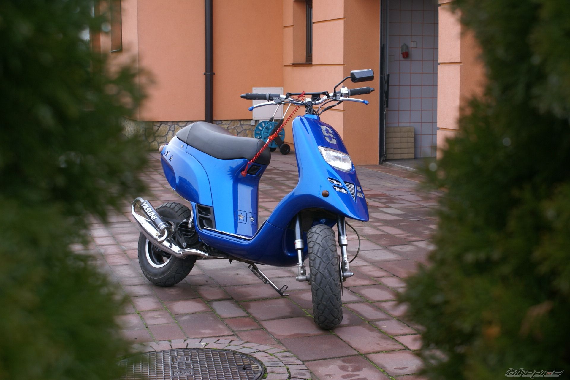 Photo 1176876