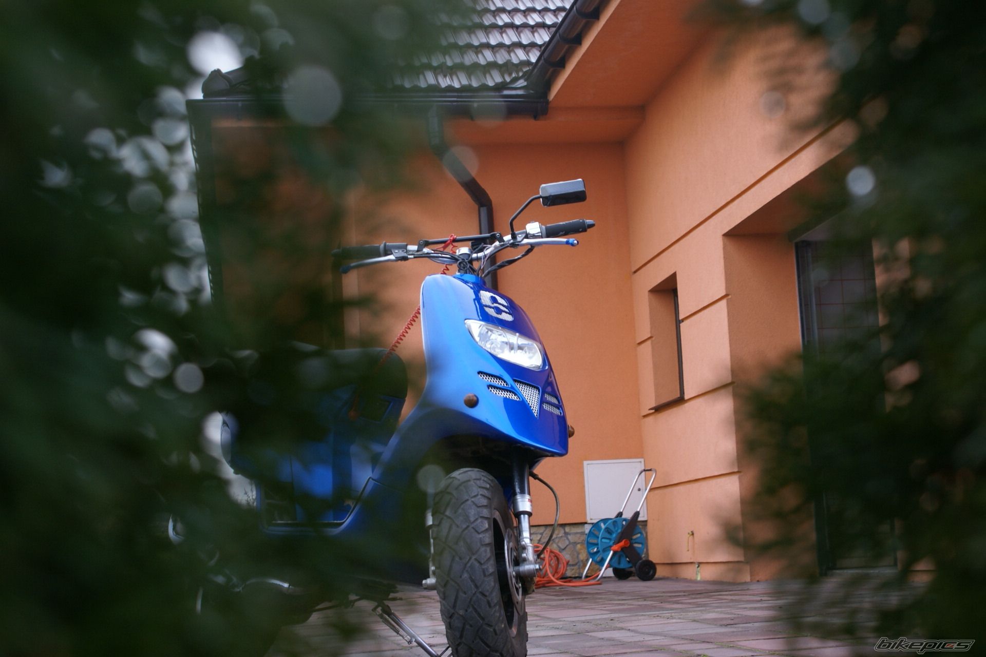 Photo 1176877
