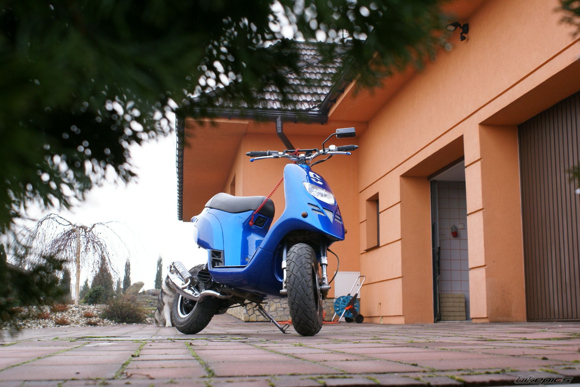 Photo 1176878