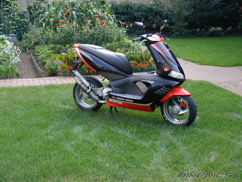Photo 11769
