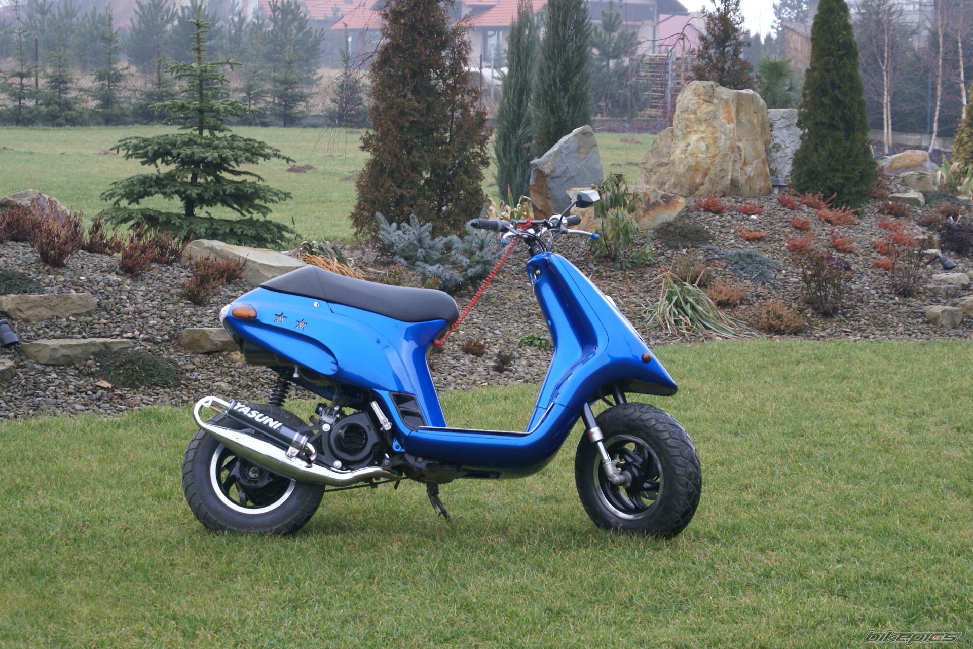 Photo 1176908
