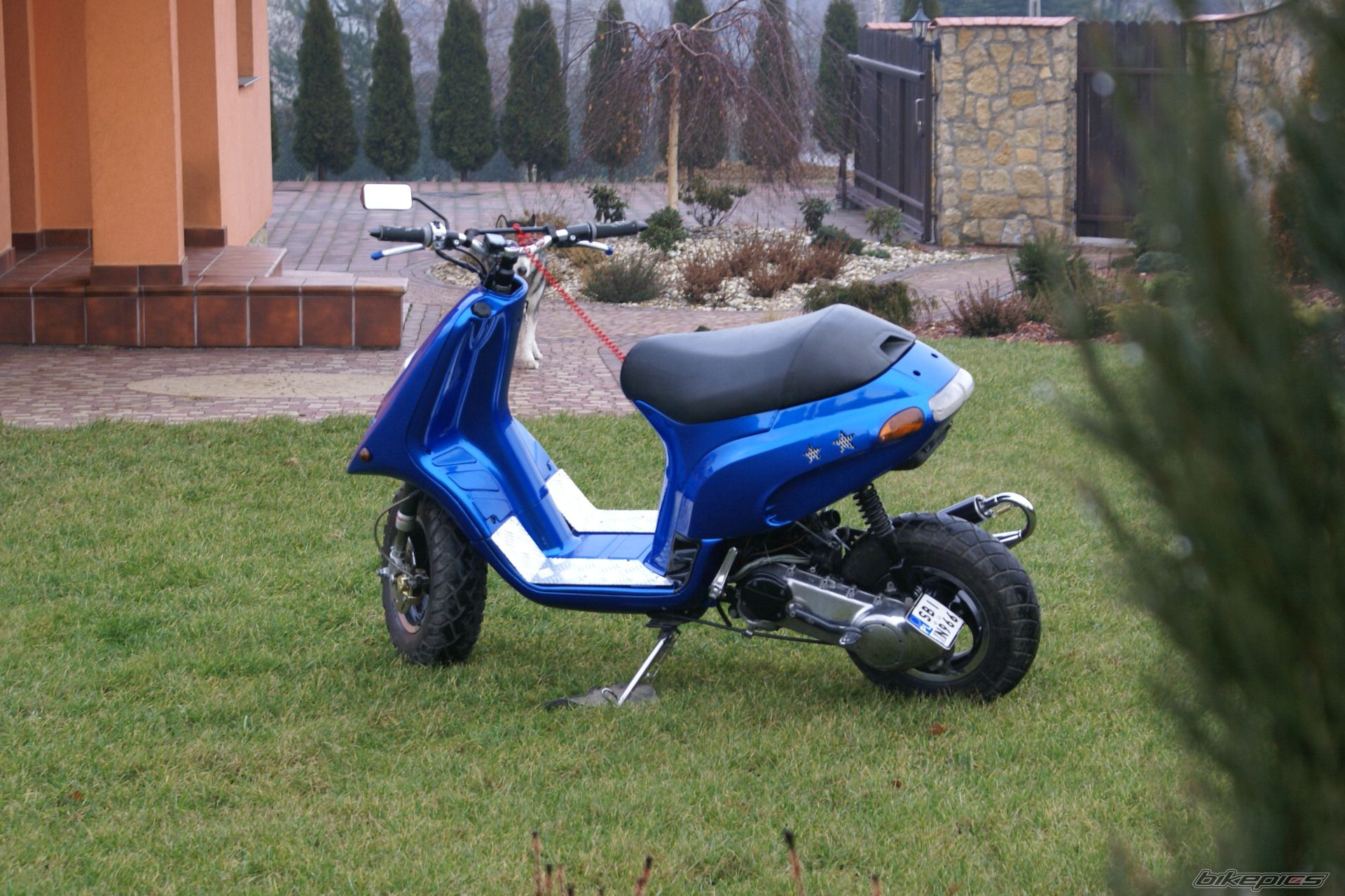 Photo 1176918