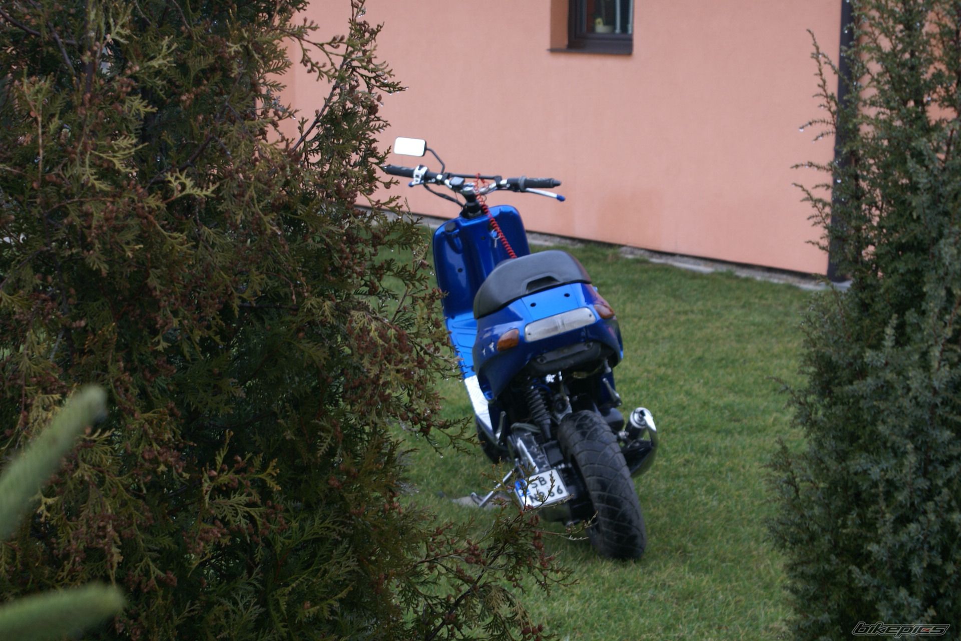 Photo 1176925
