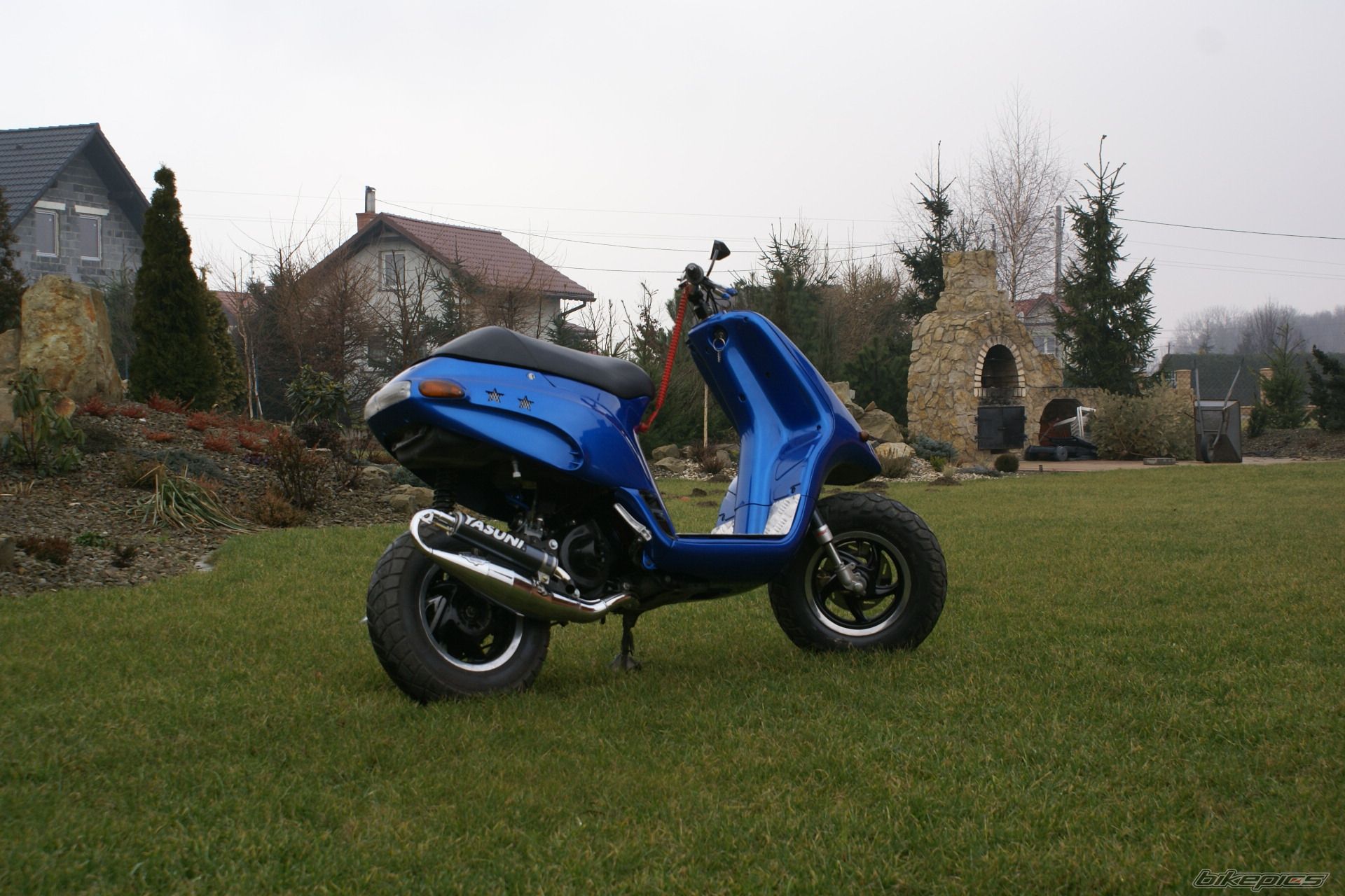 Photo 1176929