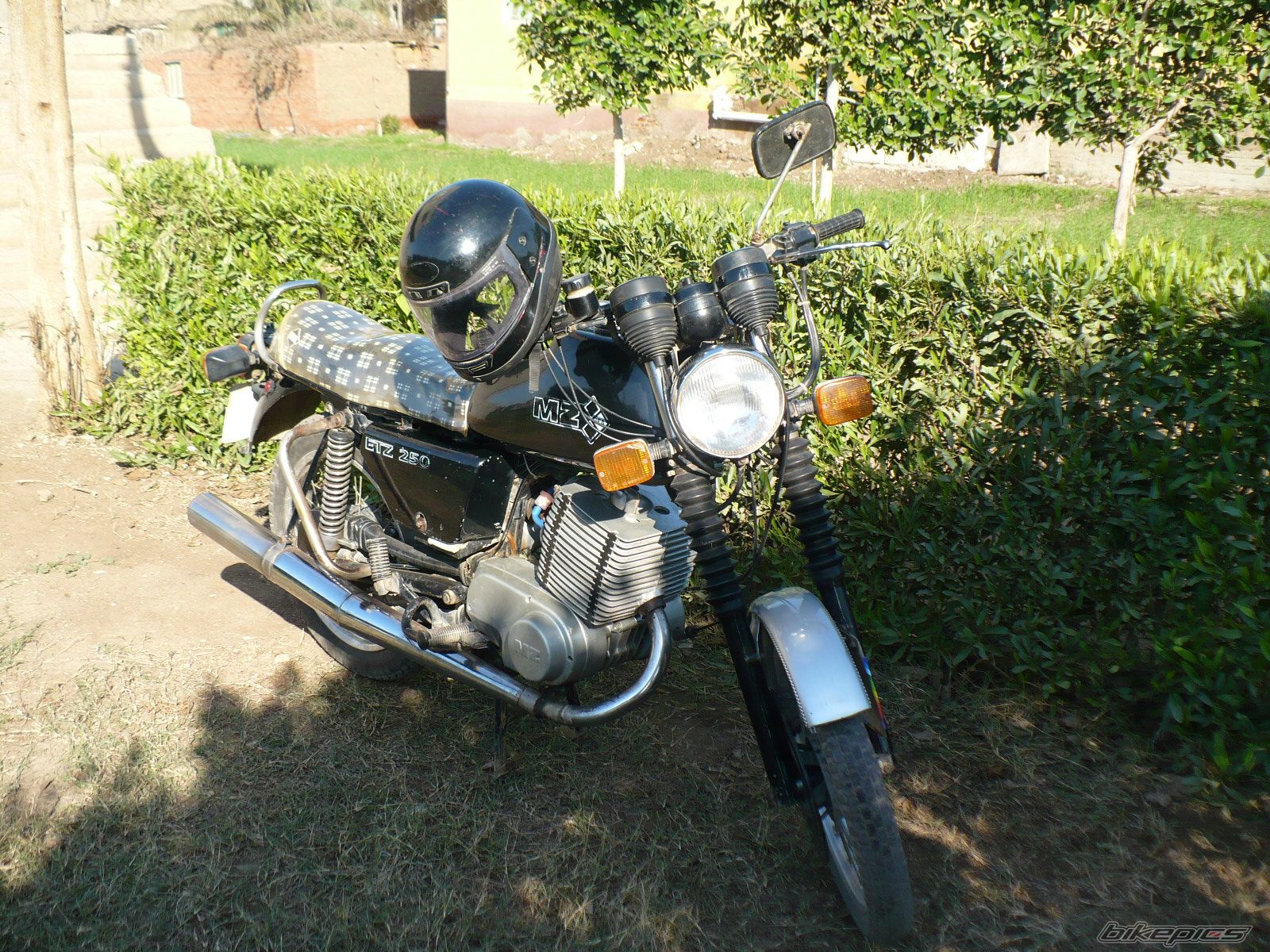 Photo 1176969