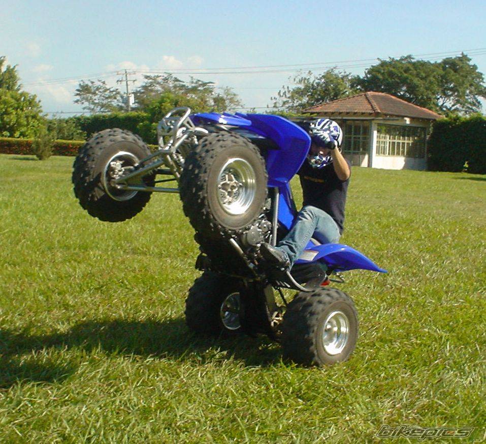 Photo 117707