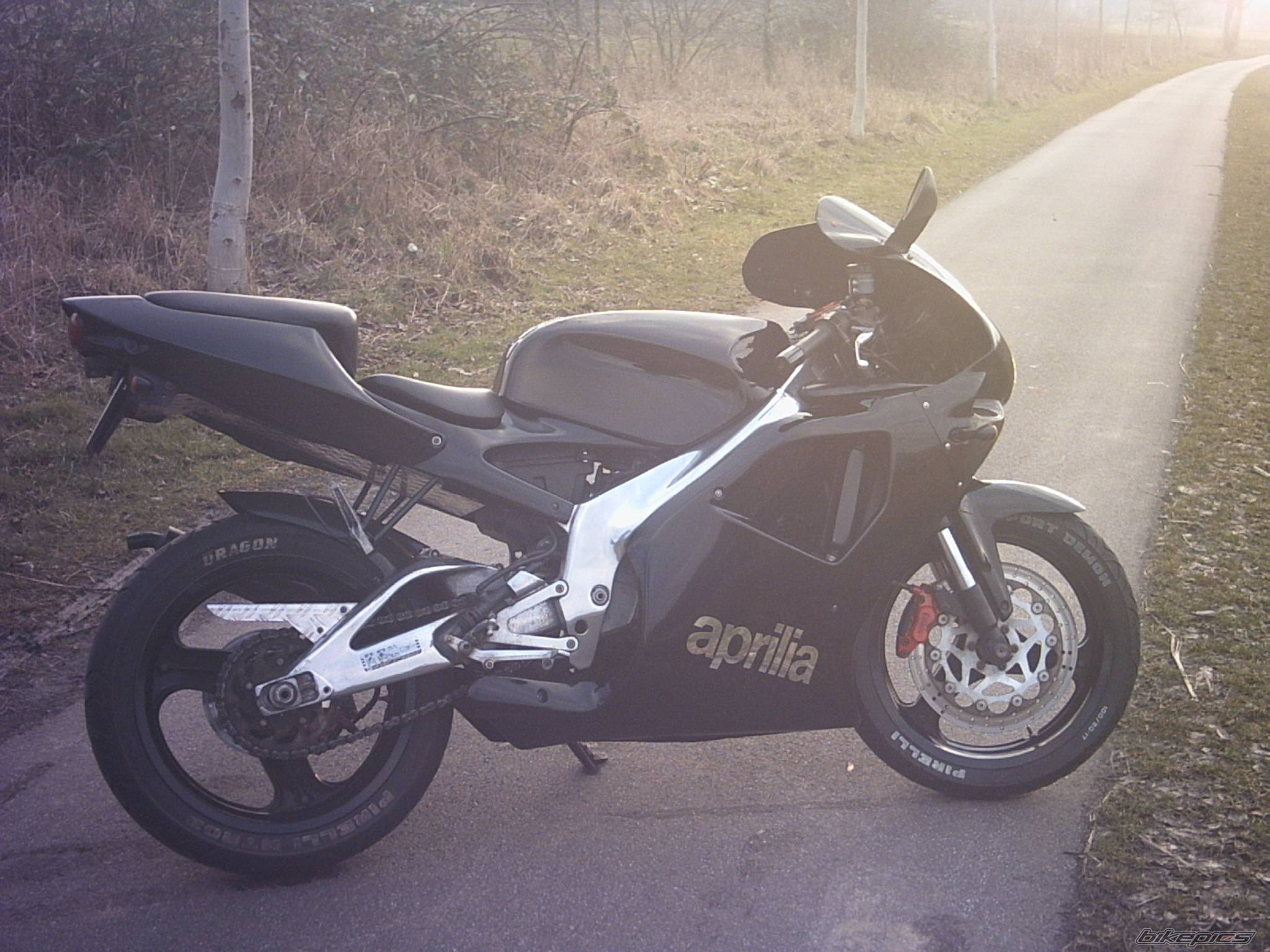 Photo 117726