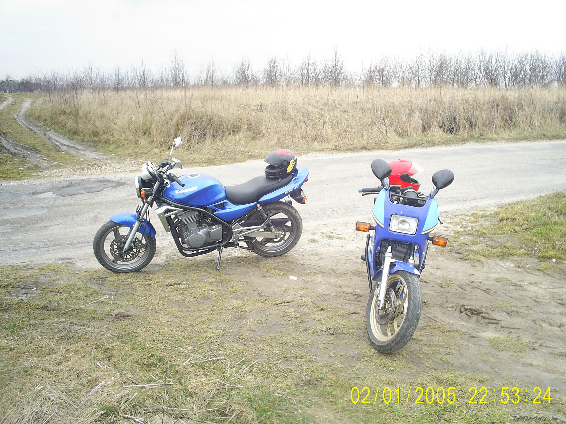 Photo 1177411