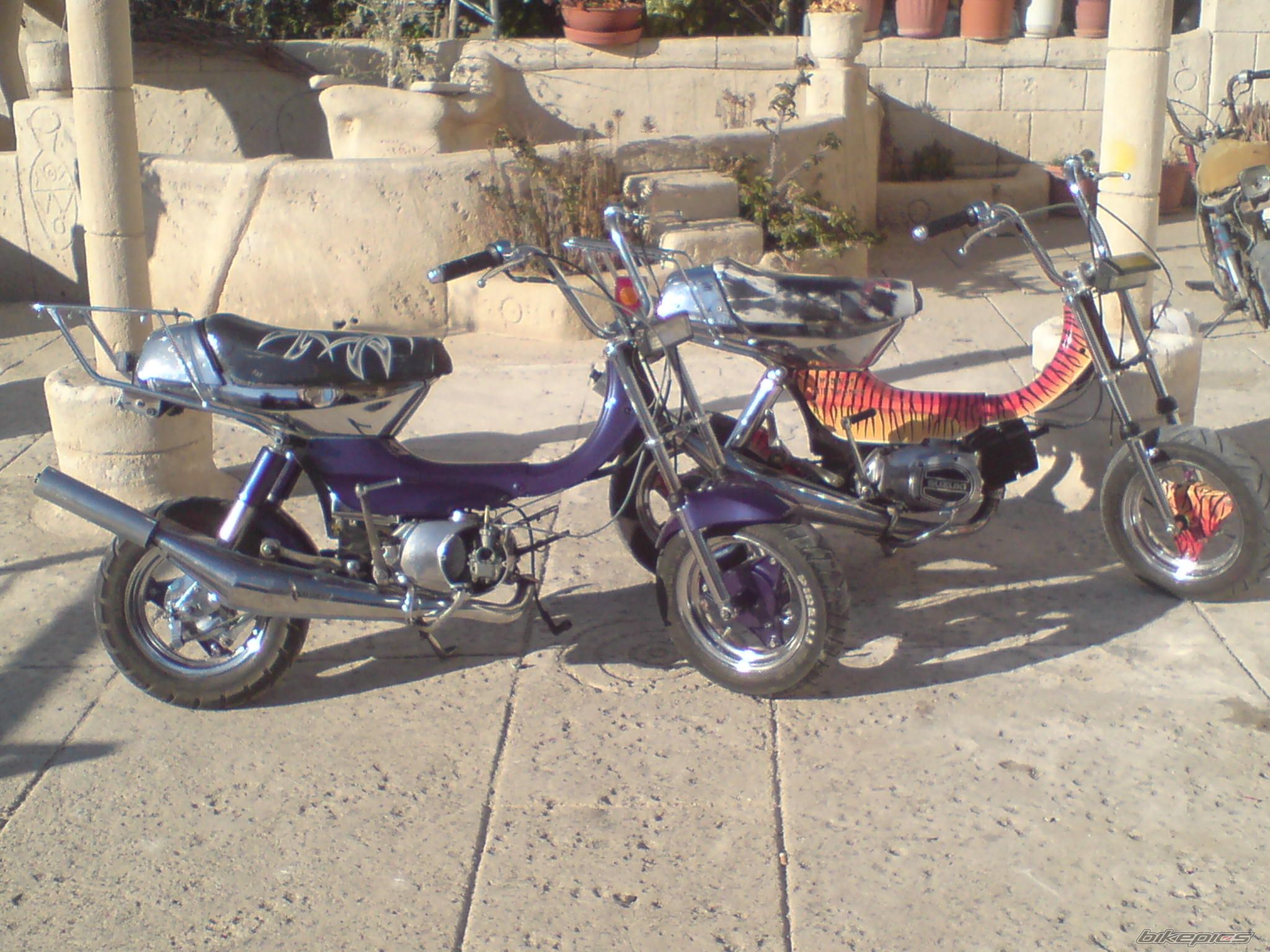 Photo 1177437