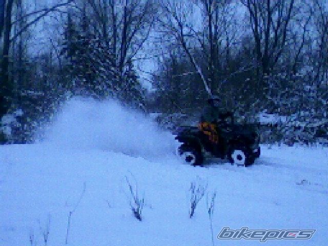 Photo 1177447