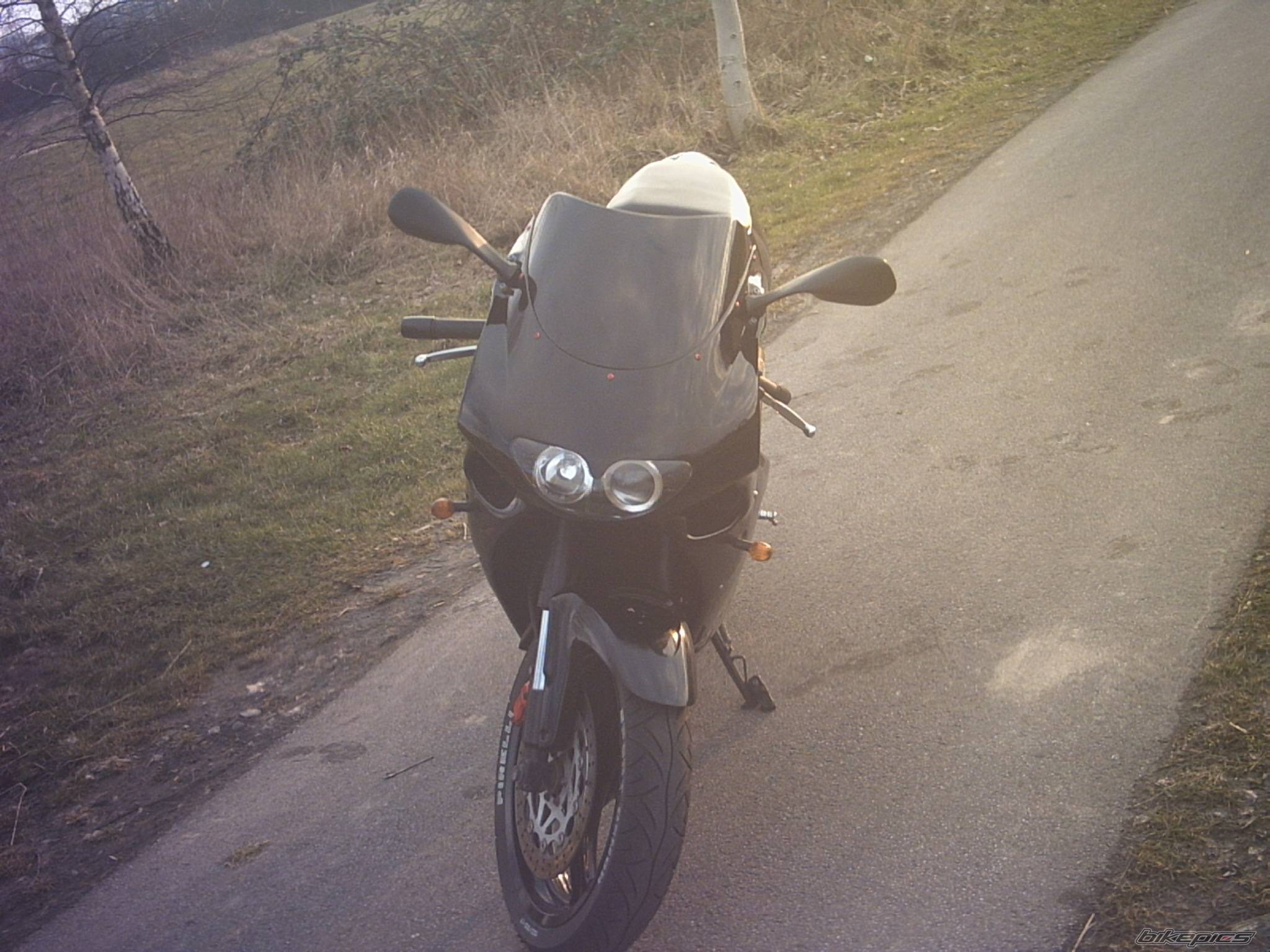 Photo 117747