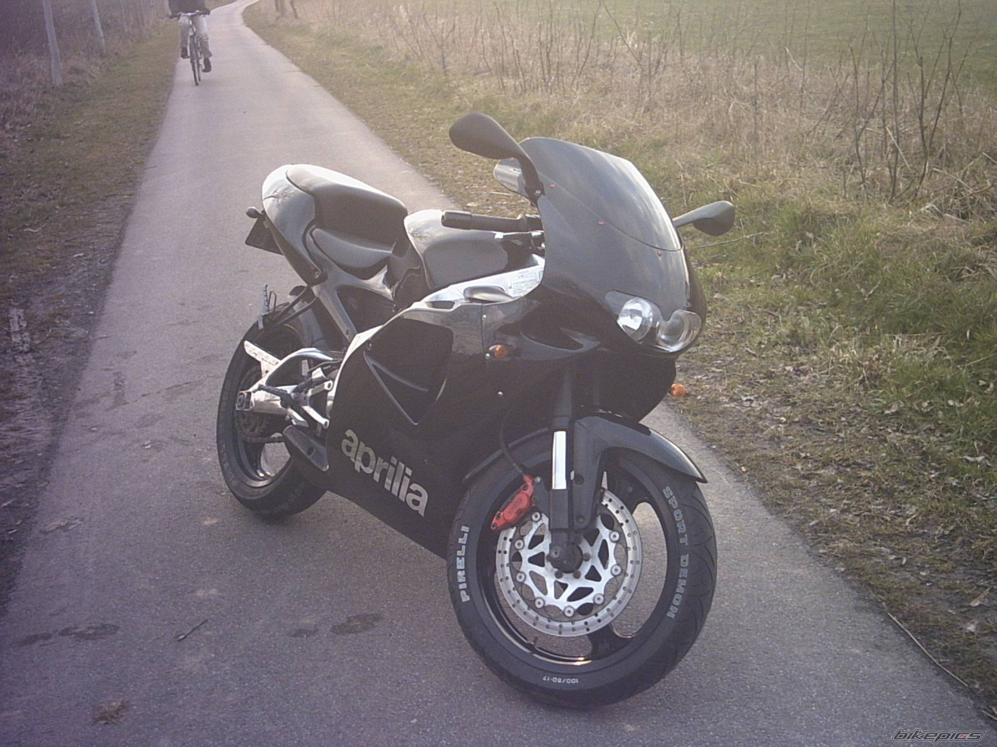 Photo 117748