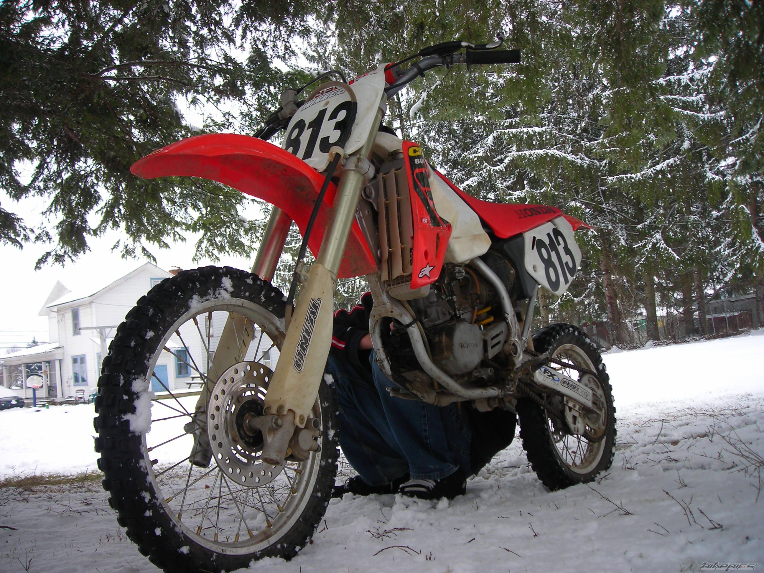 Photo 1178040