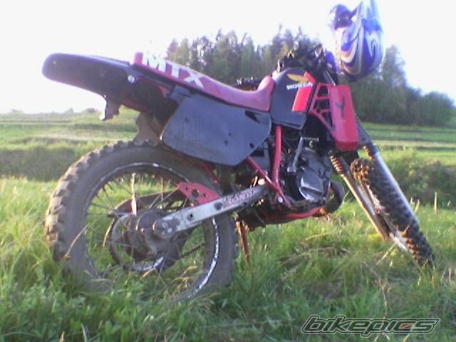 Photo 1178258