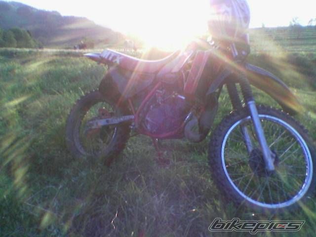 Photo 1178262