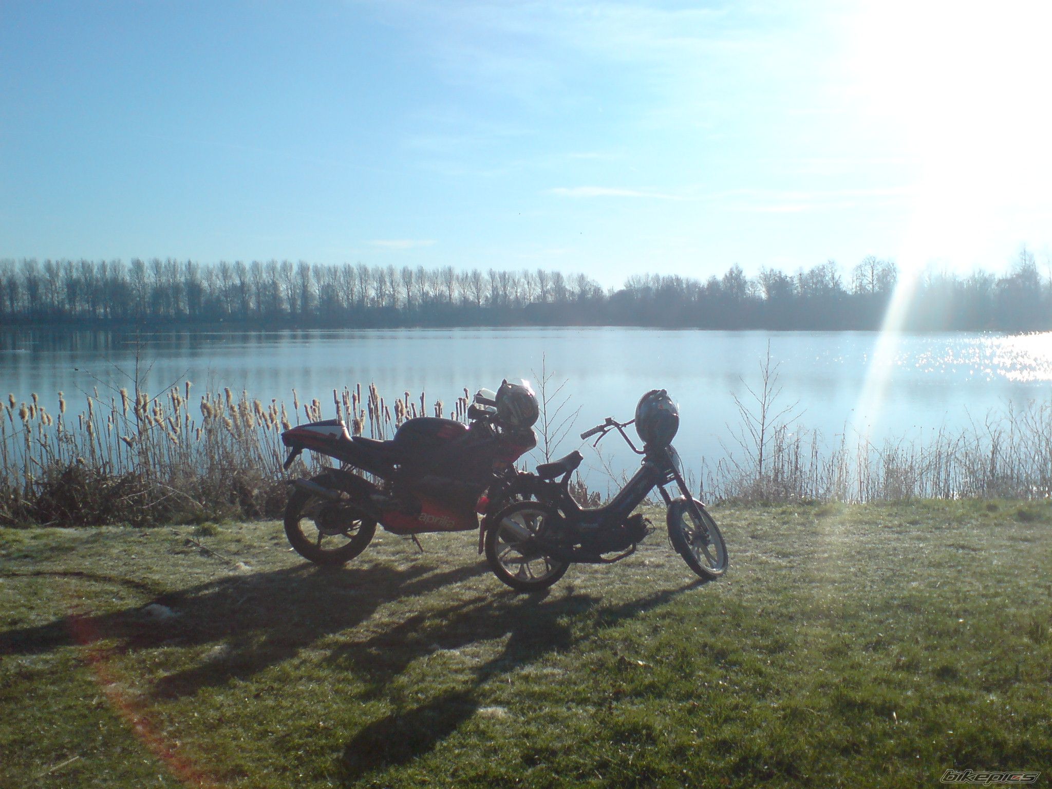 Photo 1178533