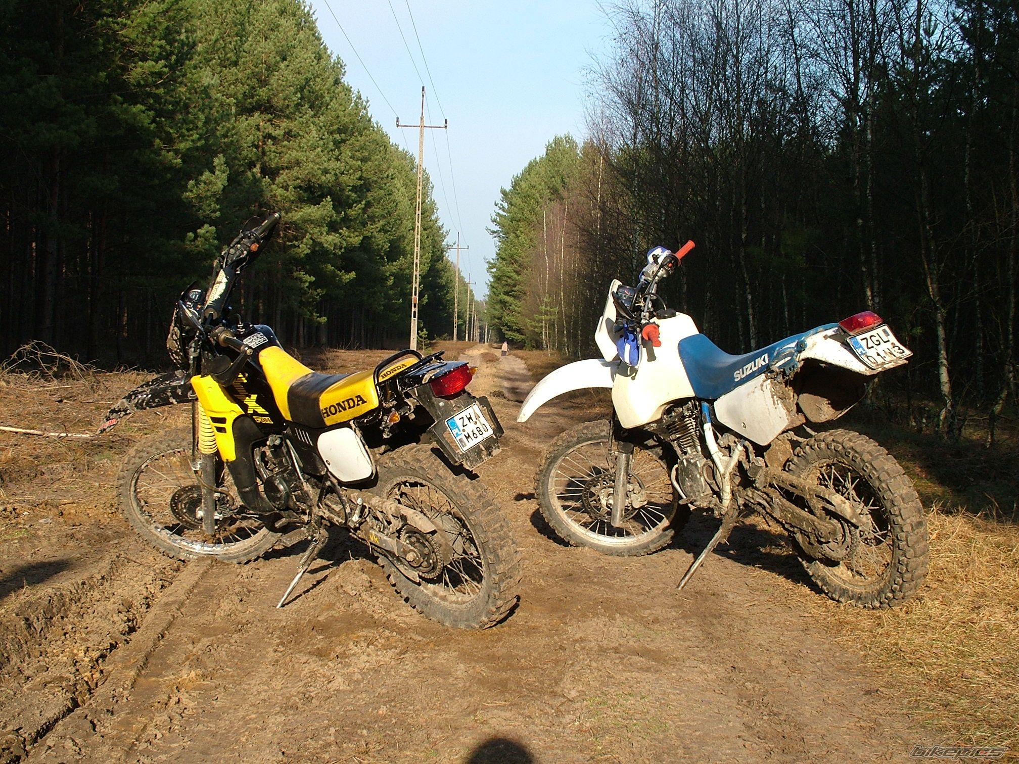 Photo 1178685