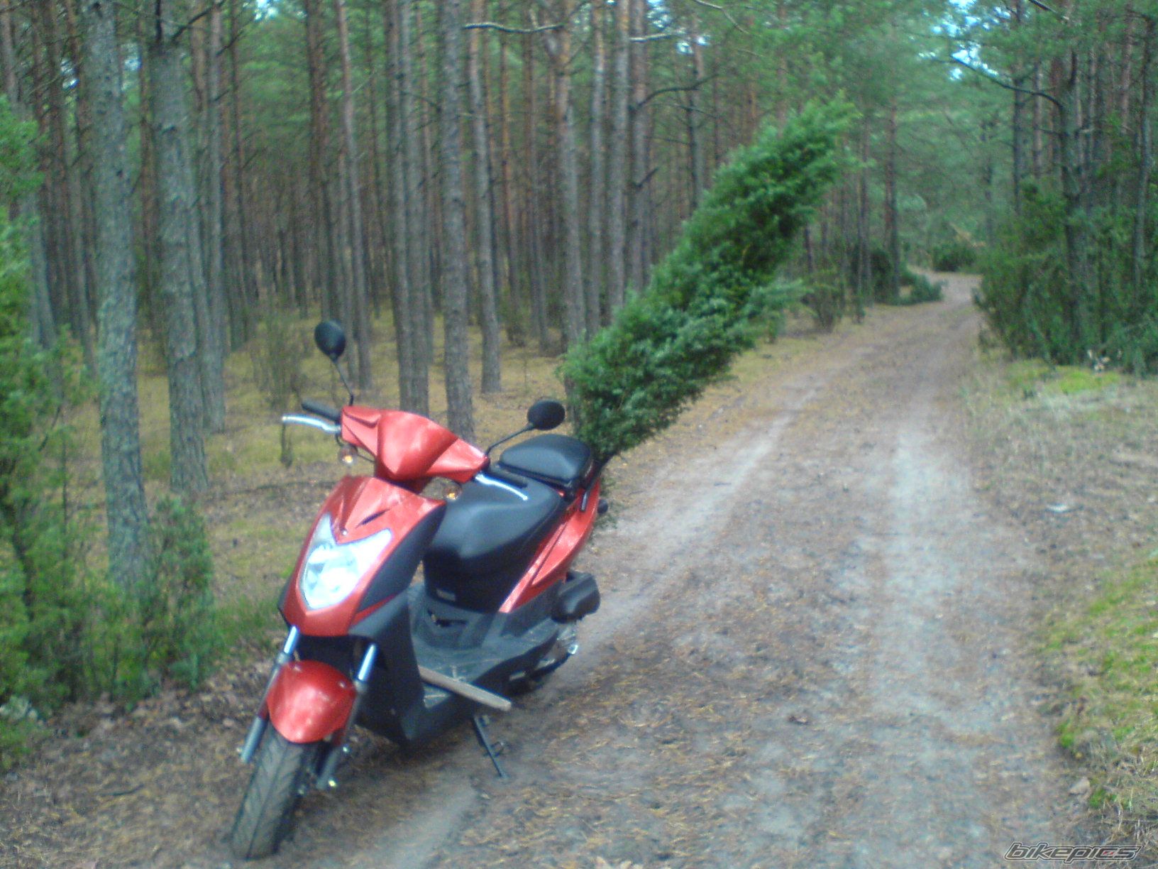Photo 1178711