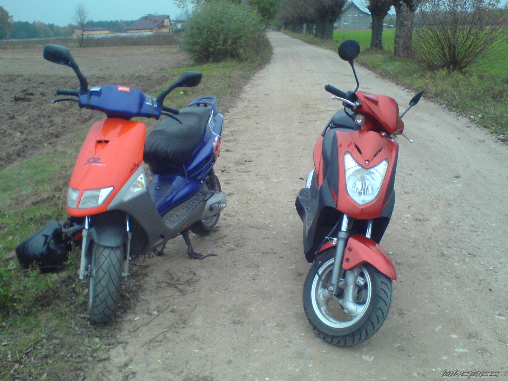 Photo 1178712