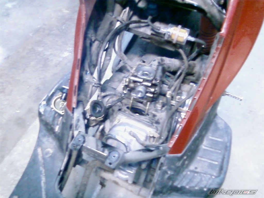 Photo 1178715