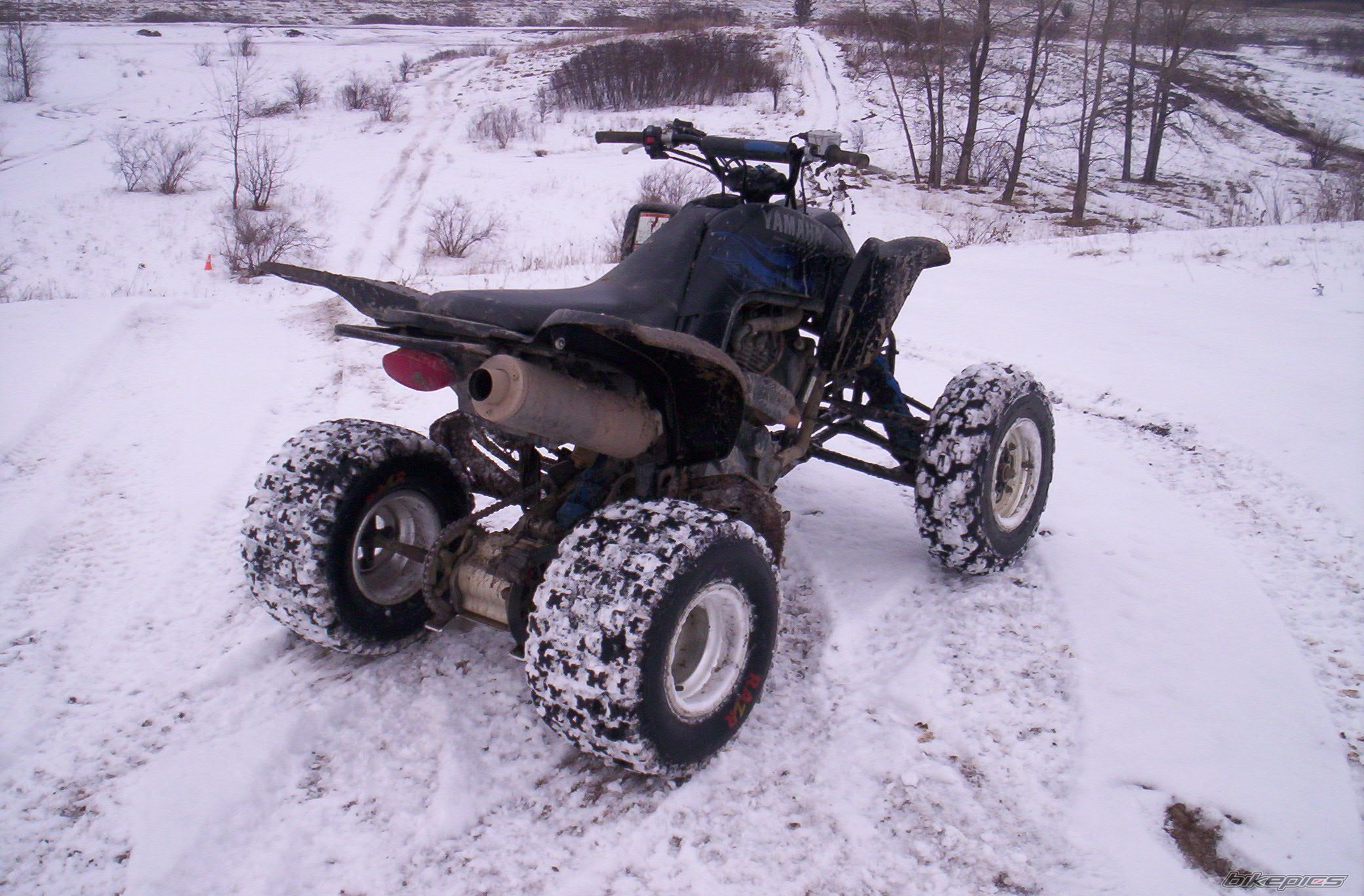 Photo 1178889