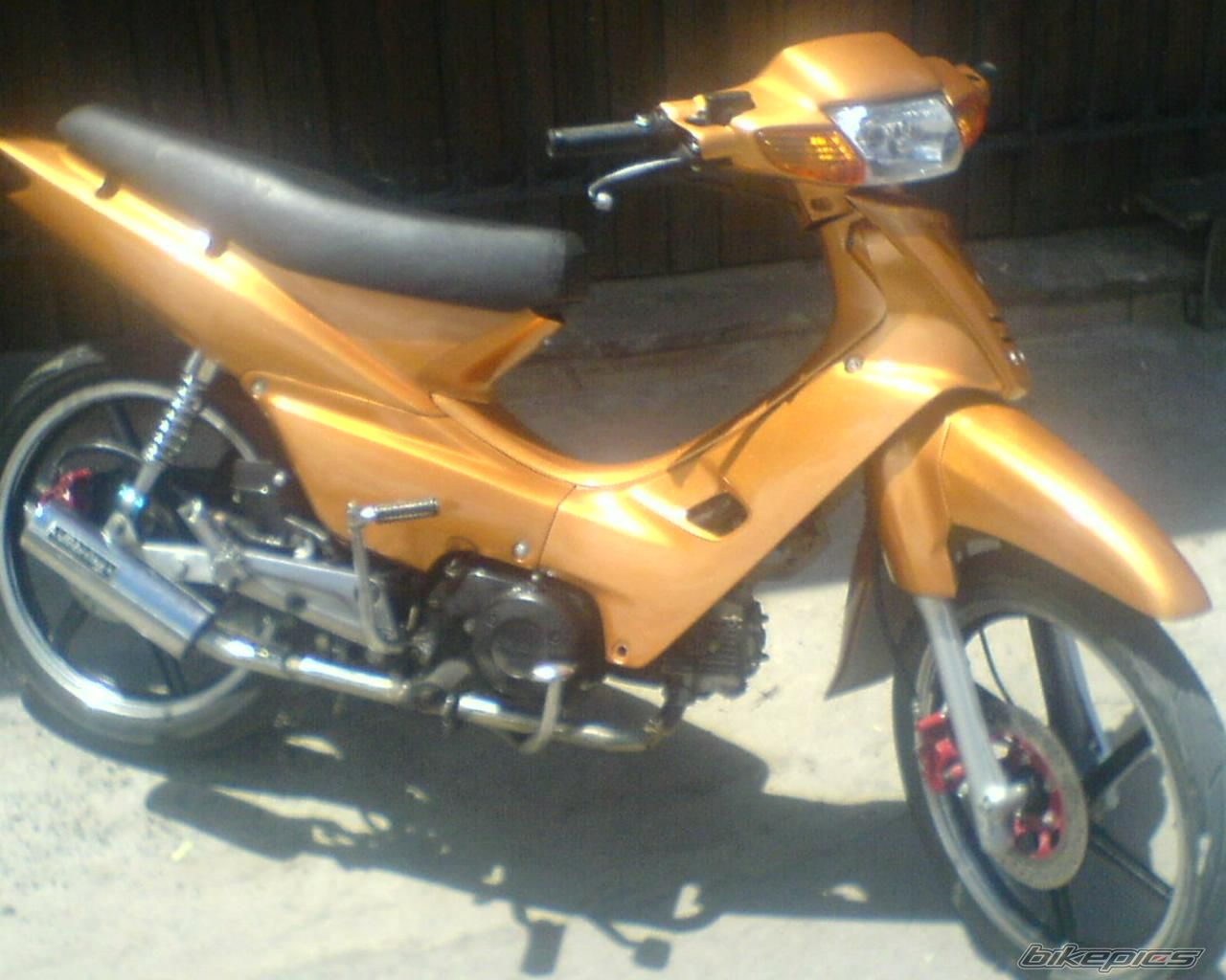 Photo 1178890