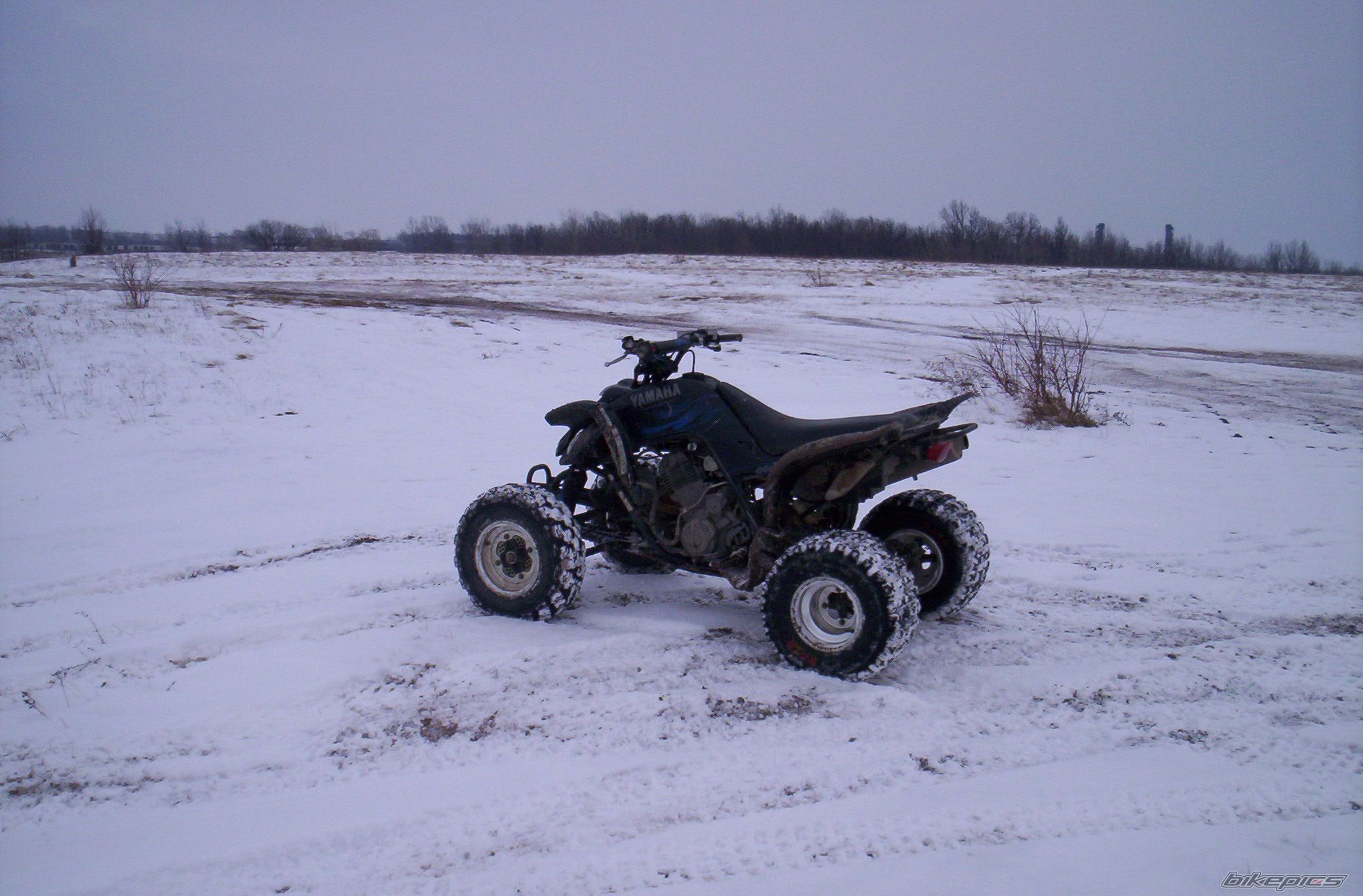 Photo 1178891