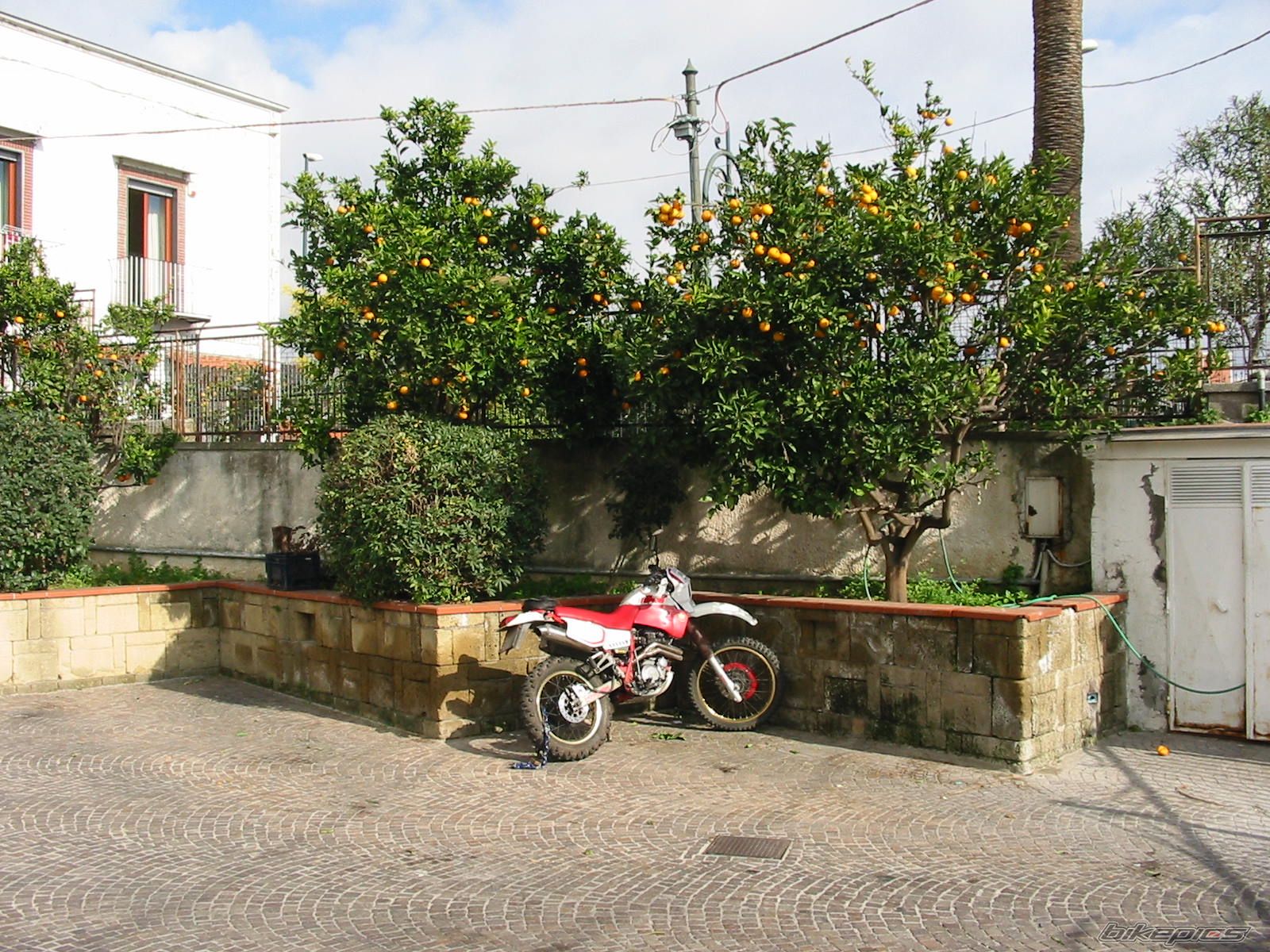 Bike Photo 1178906