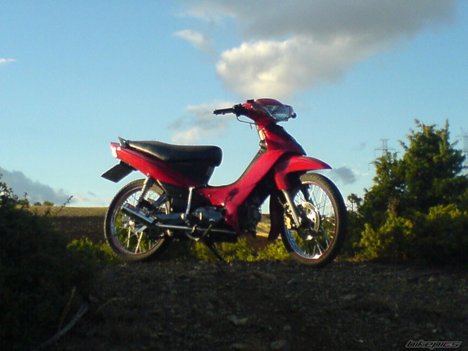 Photo 1178972