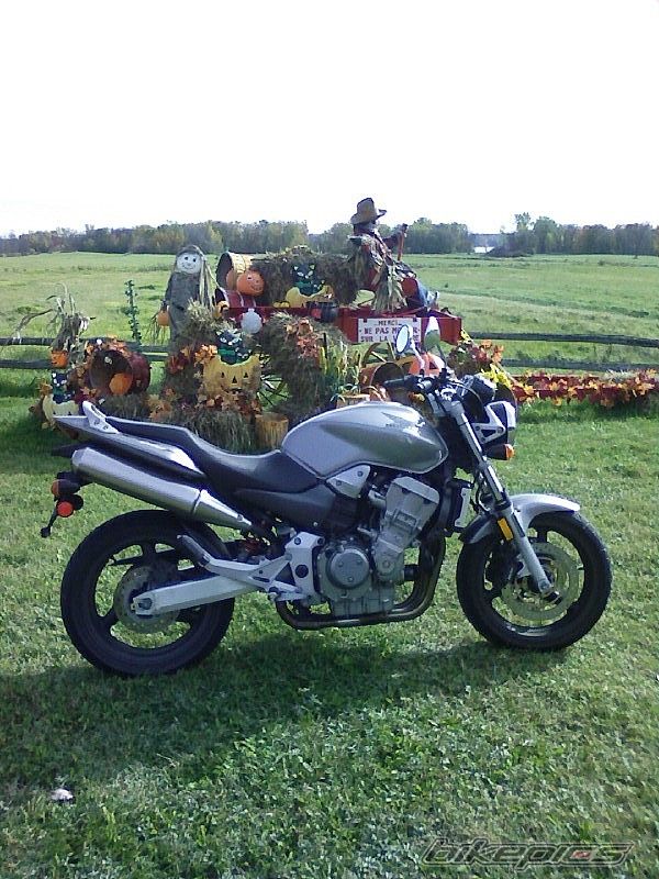 Photo 1179124