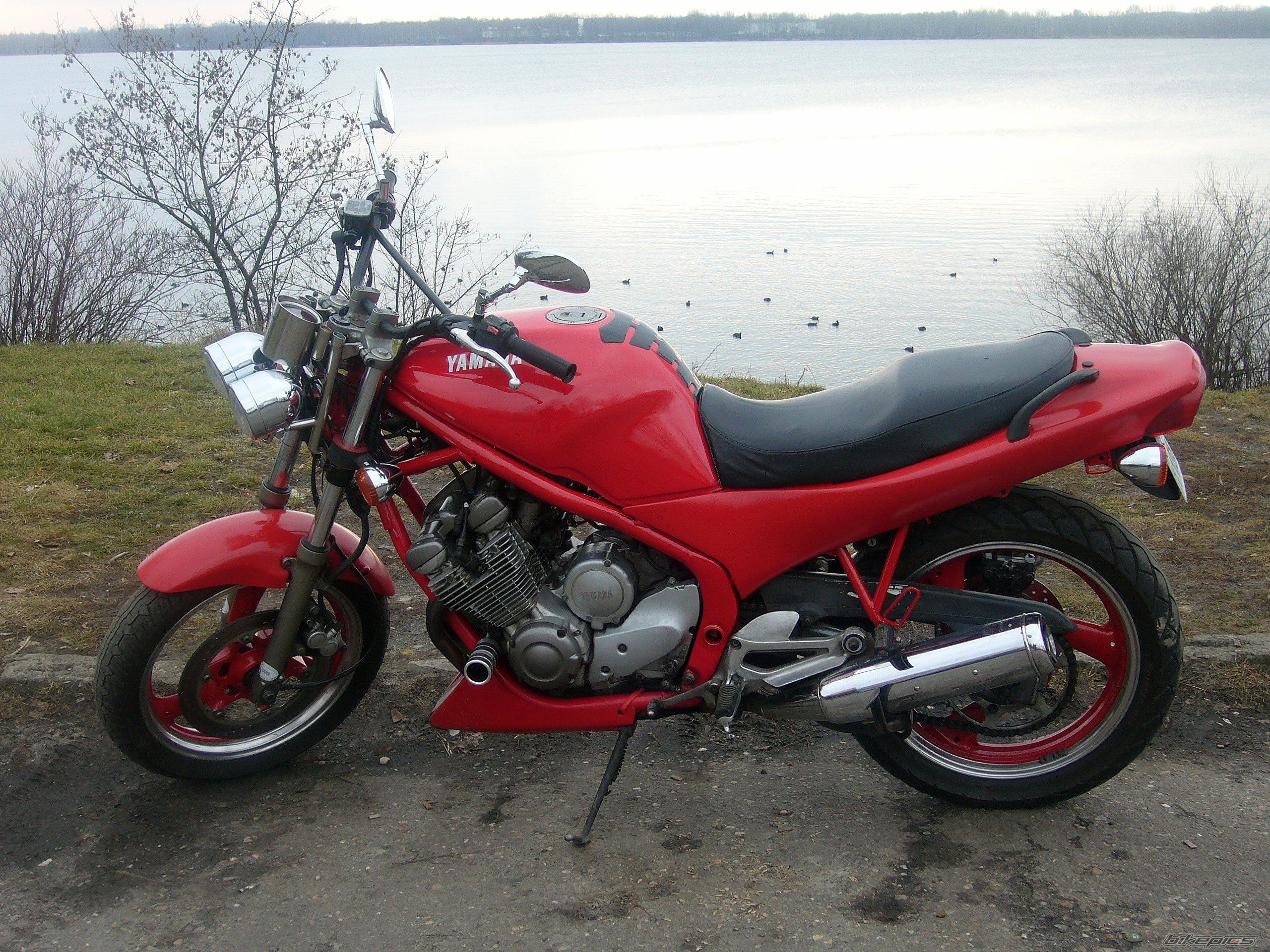 Bike Photo 1179132