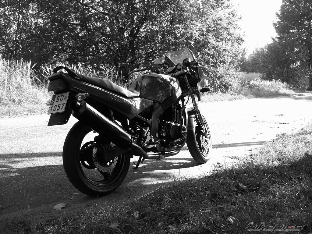 Bike Photo 1179140
