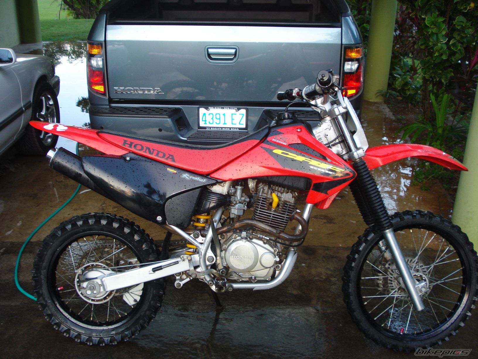 Photo 1179371