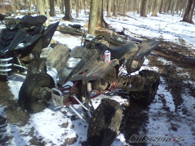 Photo 1179403