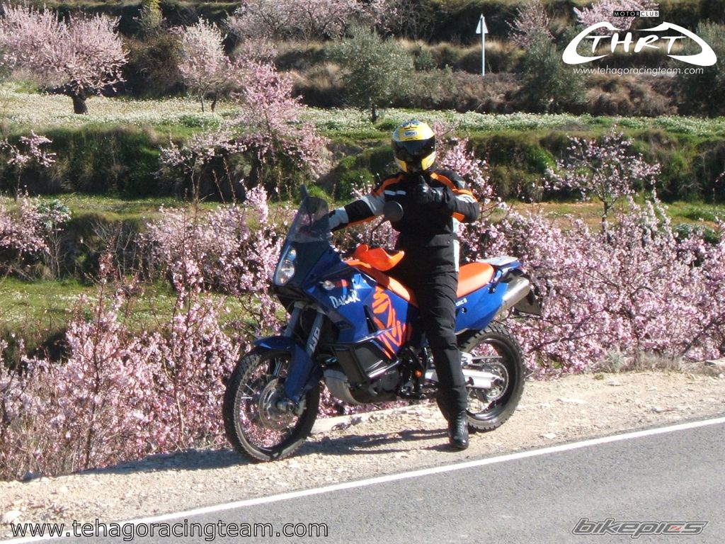 Bike Photo 1179698